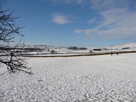 Winter View of Garden